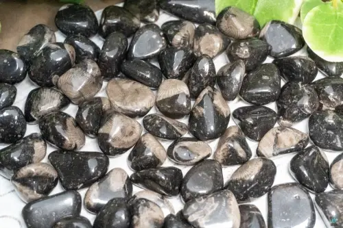 Vatican Stone: The Ancient Marble and Travertine That Built the Heart of Catholicism